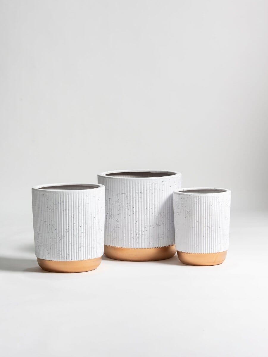 Gilded Groove Ceramic Pot III