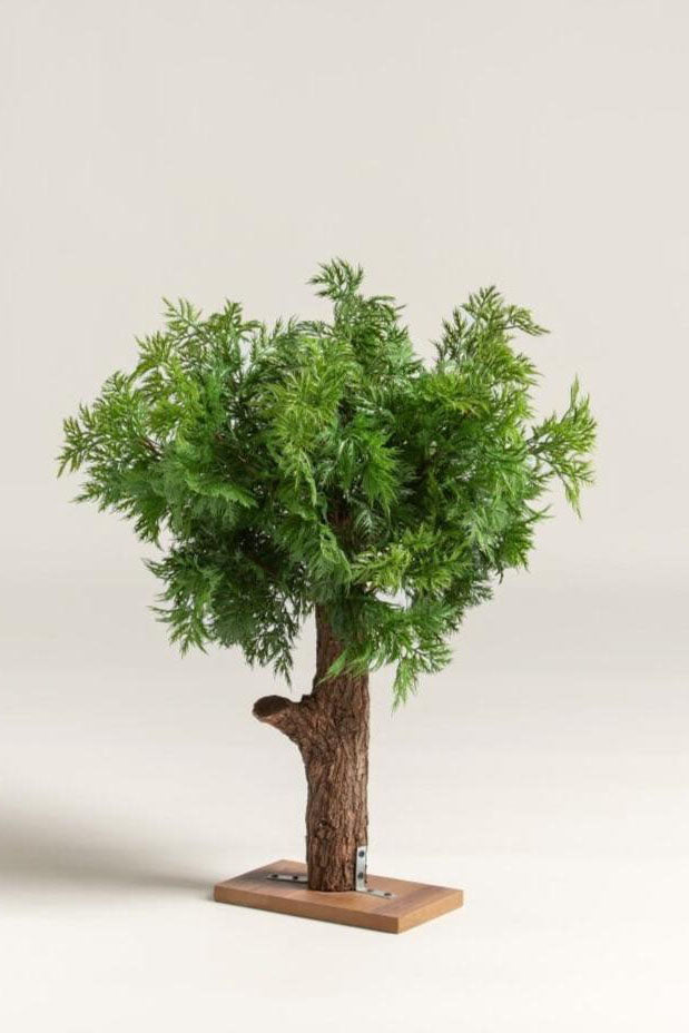 Chamaecyparis Obtusa Artificial Plant