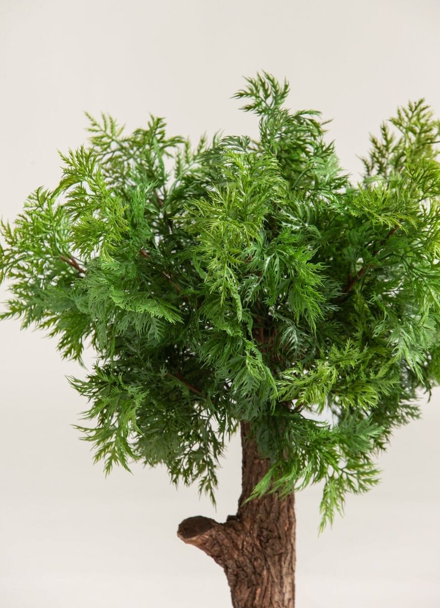 Chamaecyparis Obtusa Artificial Plant - Image 2