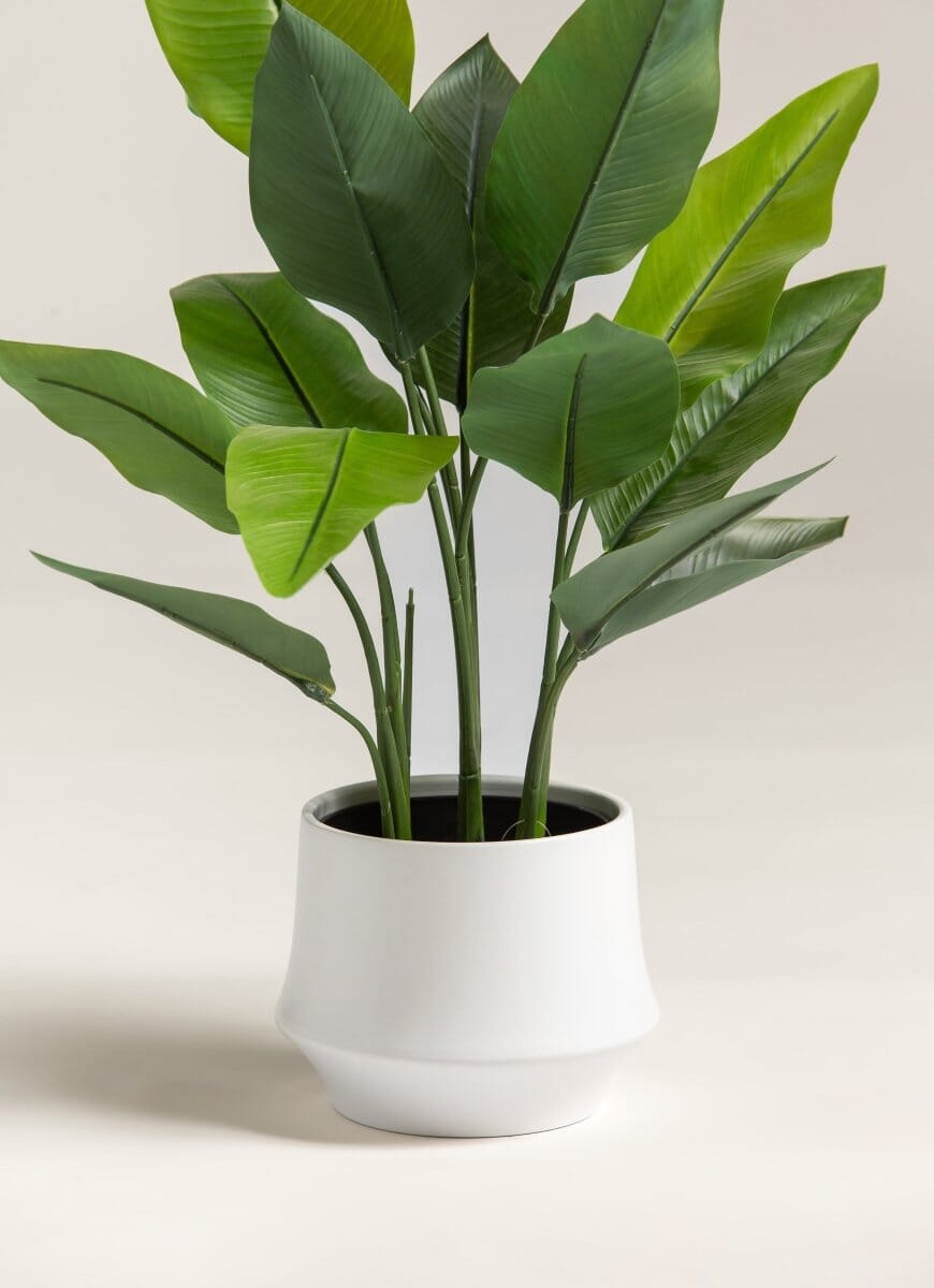 Strelitzia Nicolai Artificial Plant II (80CM) - Image 2