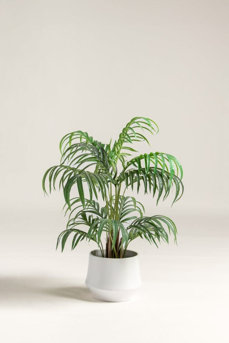 Dypsis Lutescens Artificial Plant (120CM)