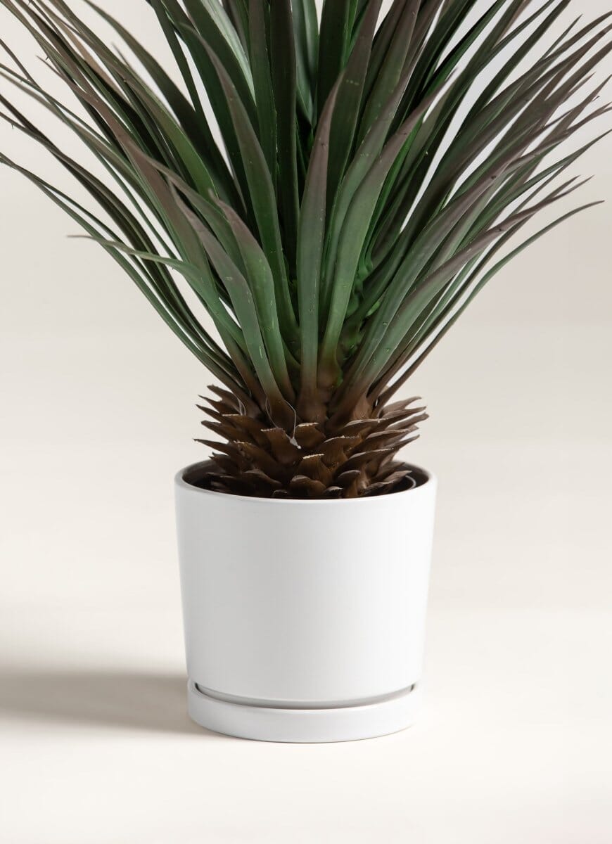 Yucca Gloriosa Artificial Plant (80CM) - Image 3