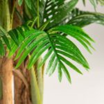 Areca Palm Artificial Plant (200CM)