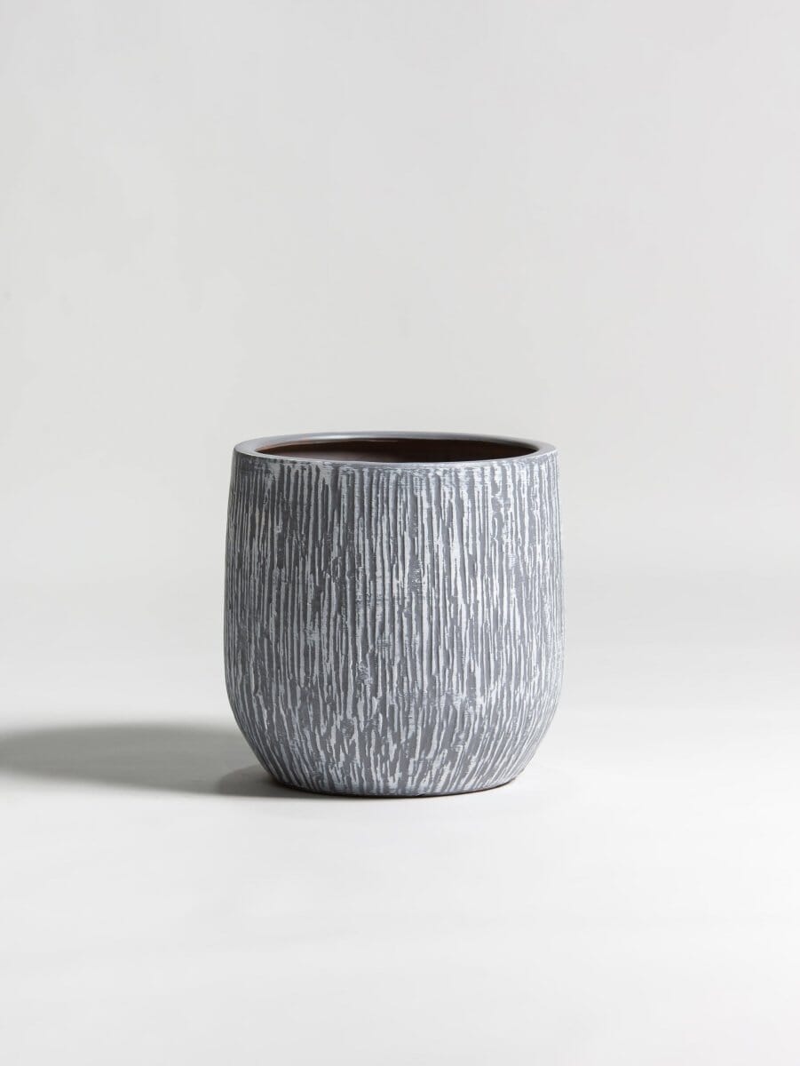 Ash BarkLine Ceramic Pot - Image 3