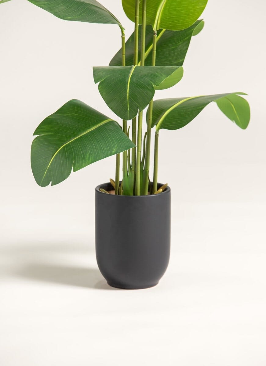 Strelitzia Nicolai Artificial Plant - Image 3