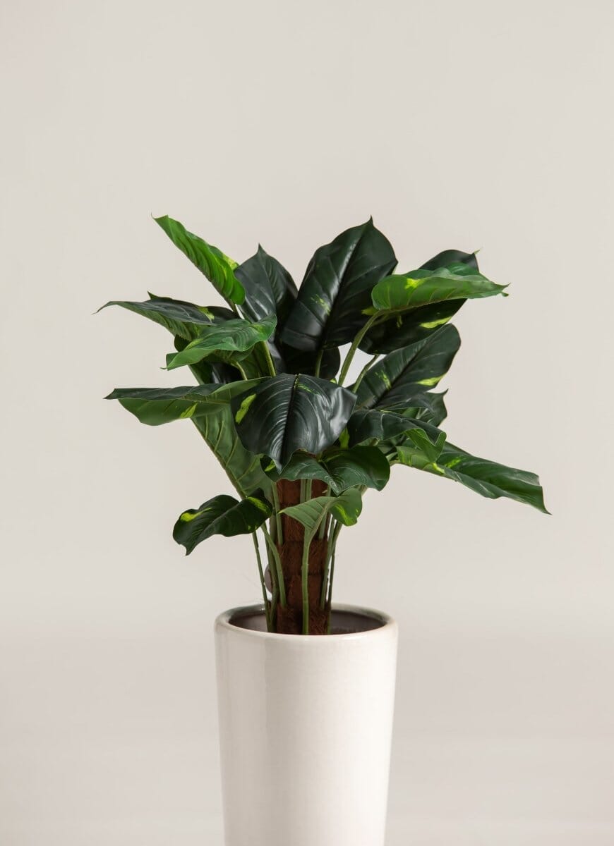 Alocasia Artificial Plant - Image 3