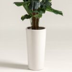 Alocasia Artificial Plant