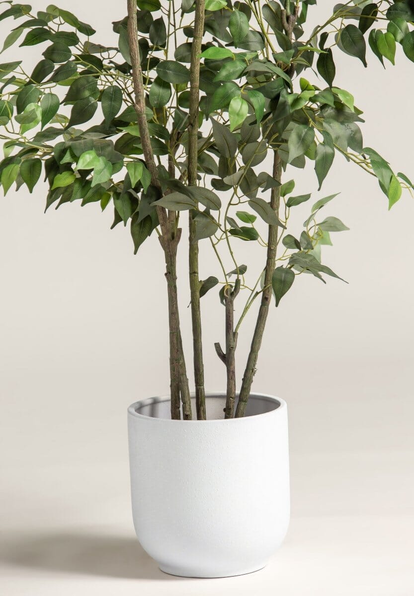 Ficus Benjamina Artificial Plant II - Image 3