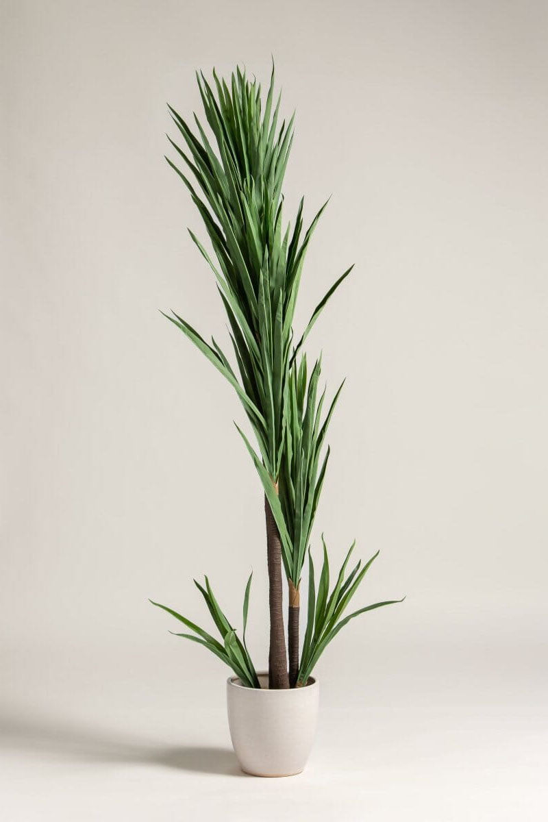Yucca Elephantipes Artificial Plant