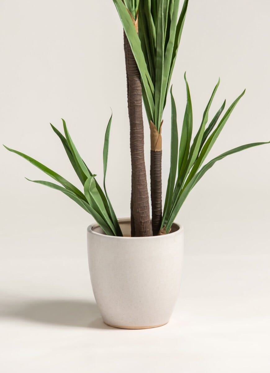 Yucca Elephantipes Artificial Plant - Image 3