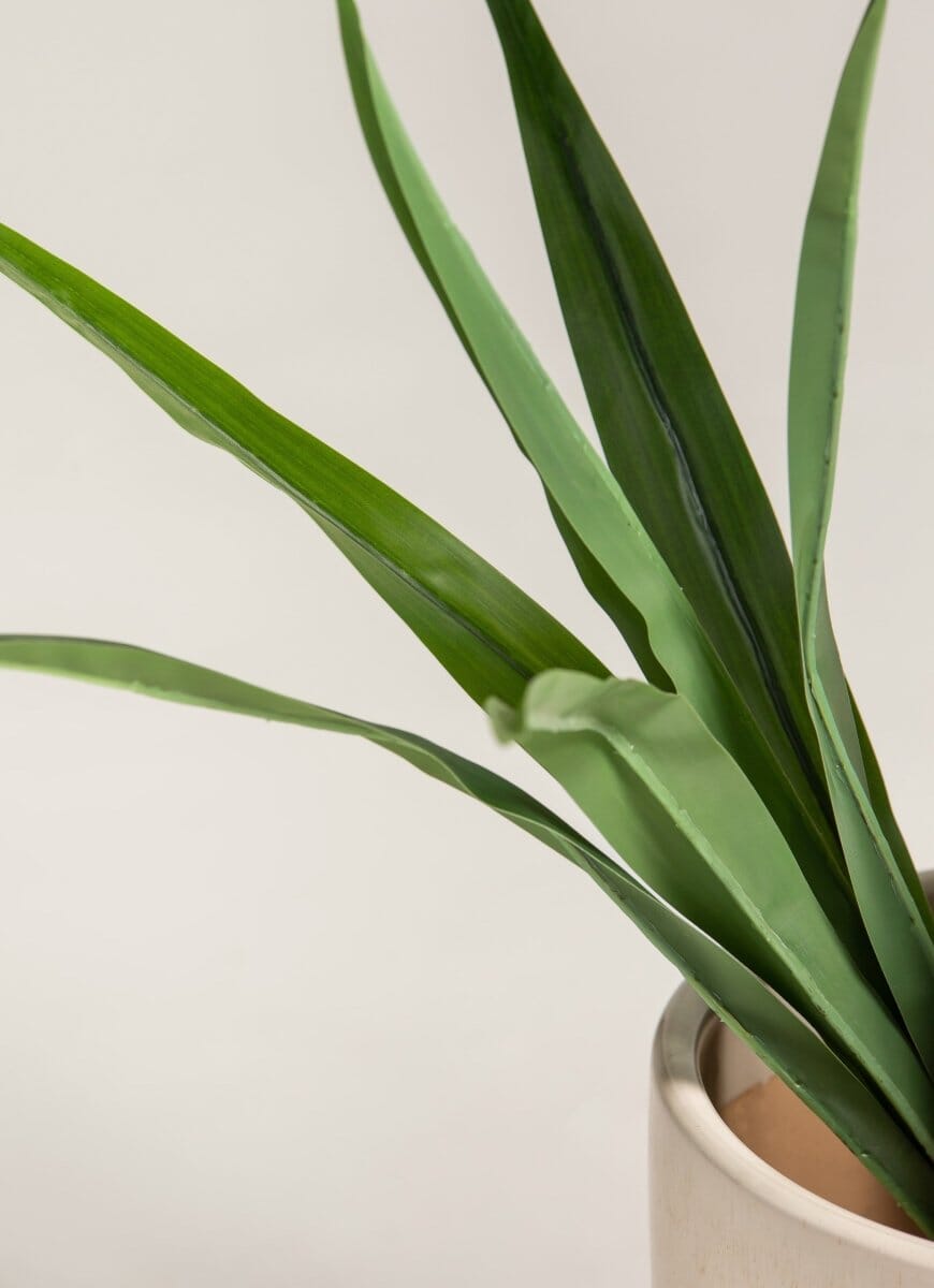 Yucca Elephantipes Artificial Plant - Image 4