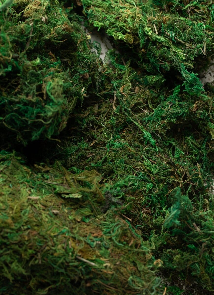 Artificial Decorative Dry Moss - Image 2