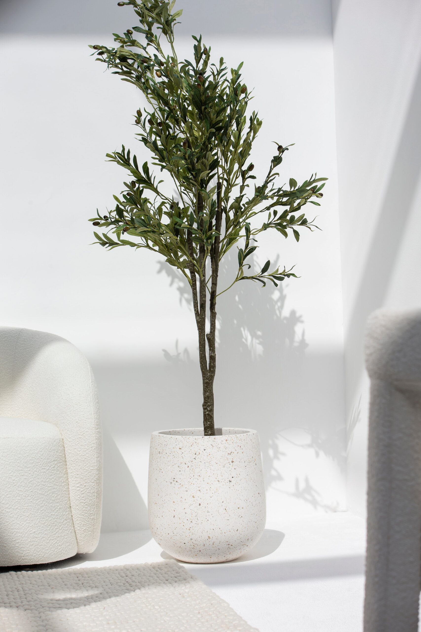 Sena Terrazzo Concrete Pot - Image 7