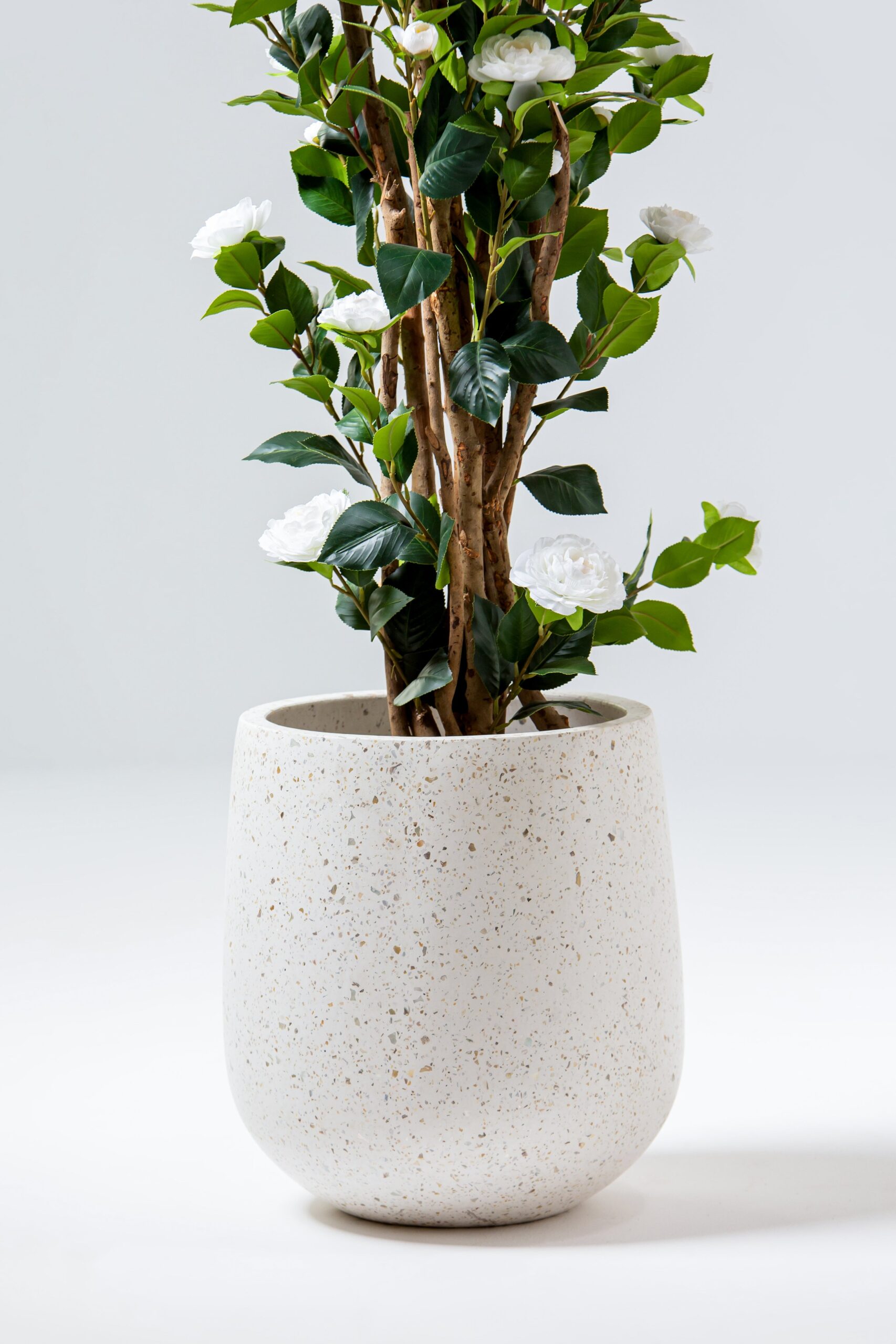Sena Terrazzo Concrete Pot - Image 10