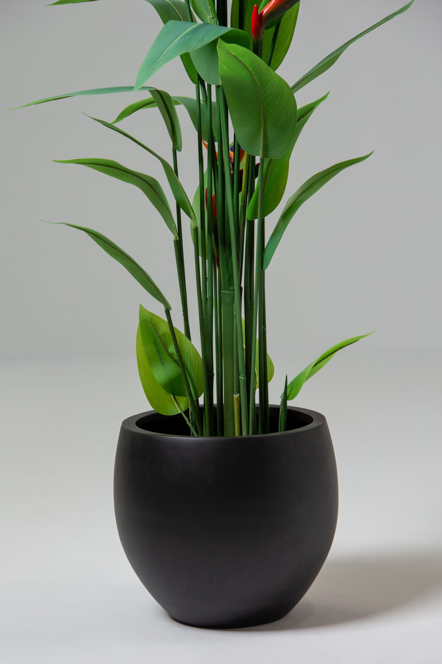 Elva Black Concrete Pot - Image 7