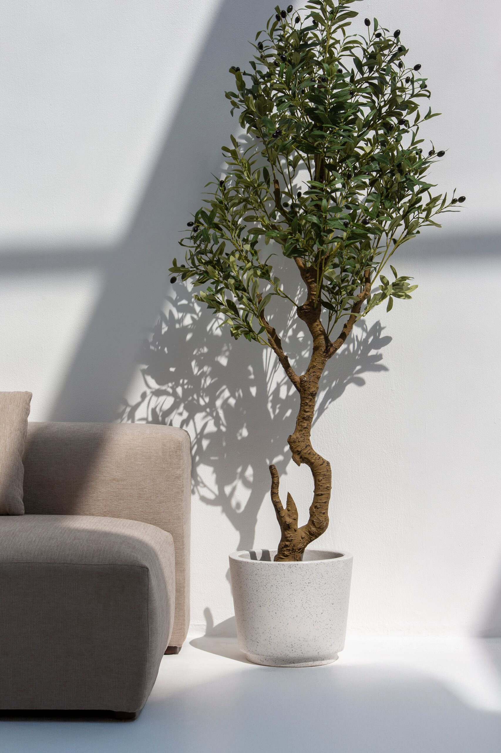 Tara Terrazzo Concrete Pot - Image 4