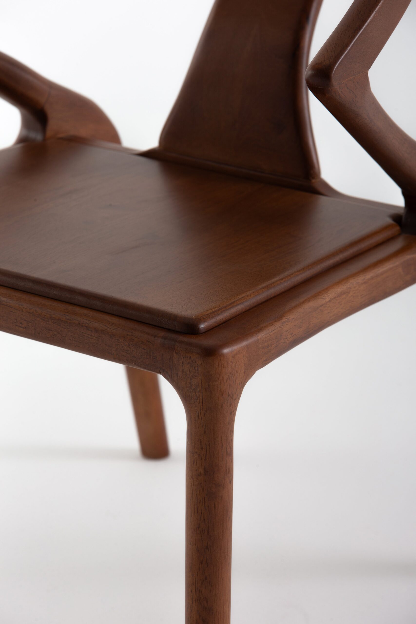 Canan Dining Chair - Image 7