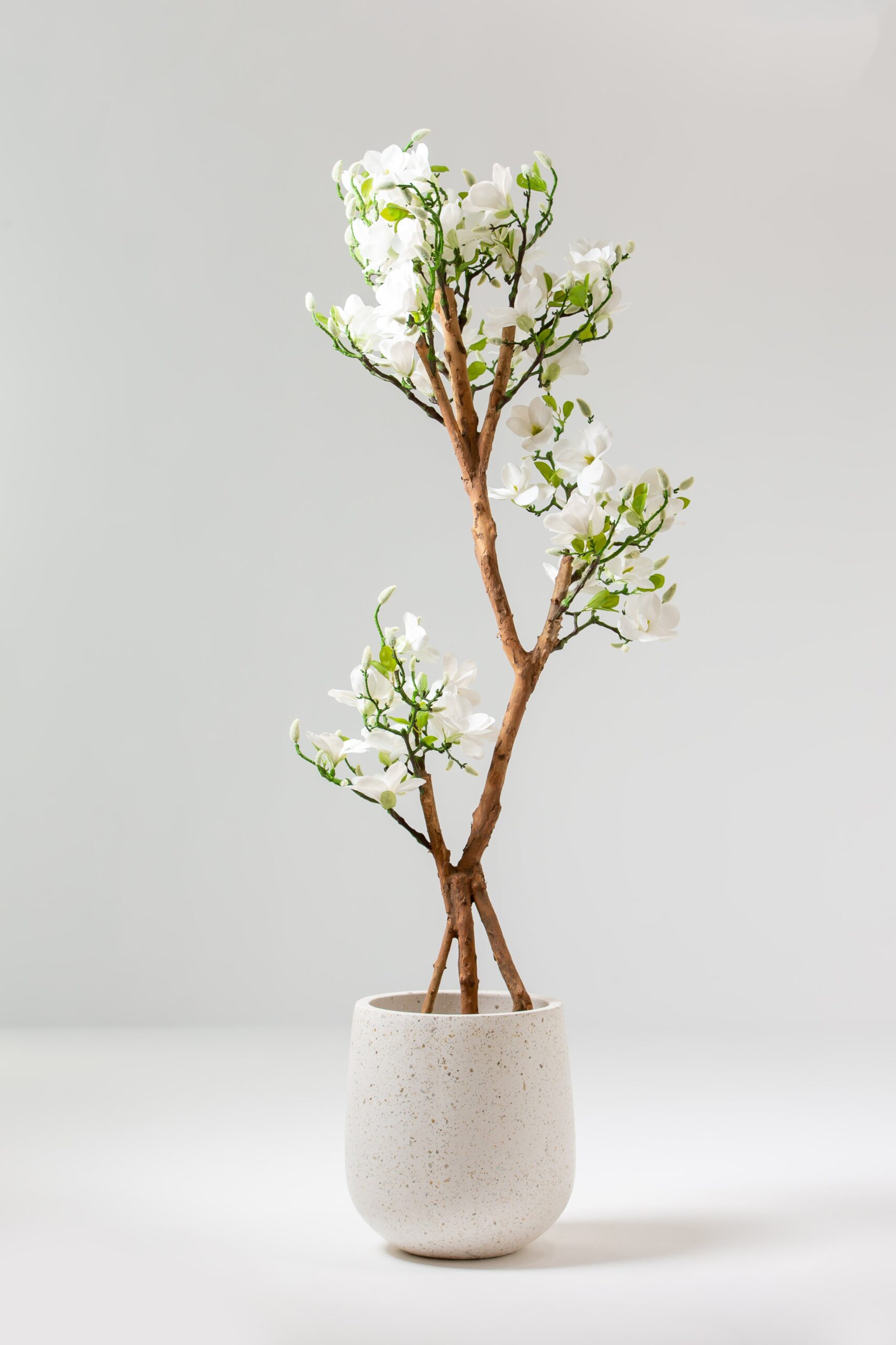 White Artificial Magnolia Plant With Natural Wooden Trunk (180CM)
