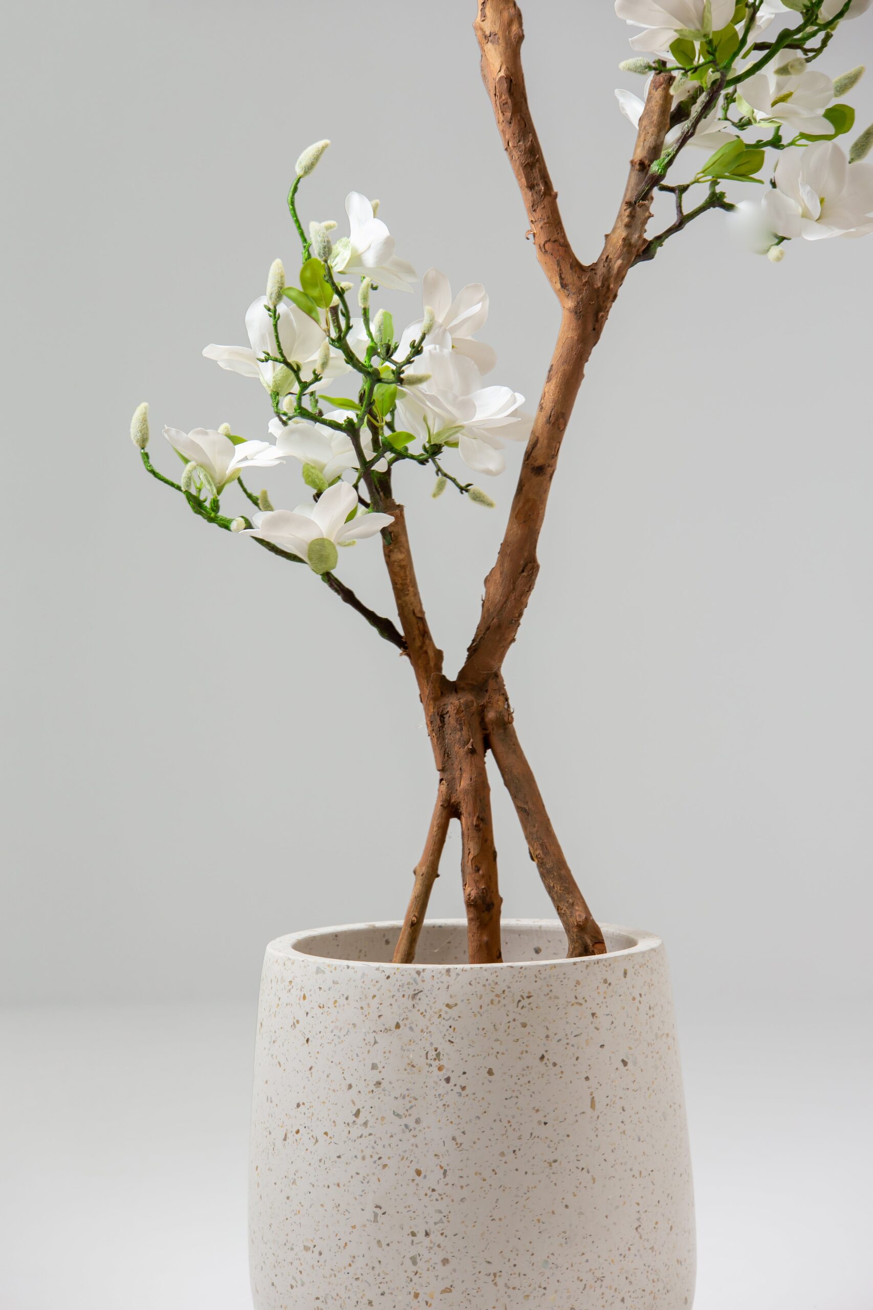 White Artificial Magnolia Plant With Natural Wooden Trunk (180CM) - Image 3