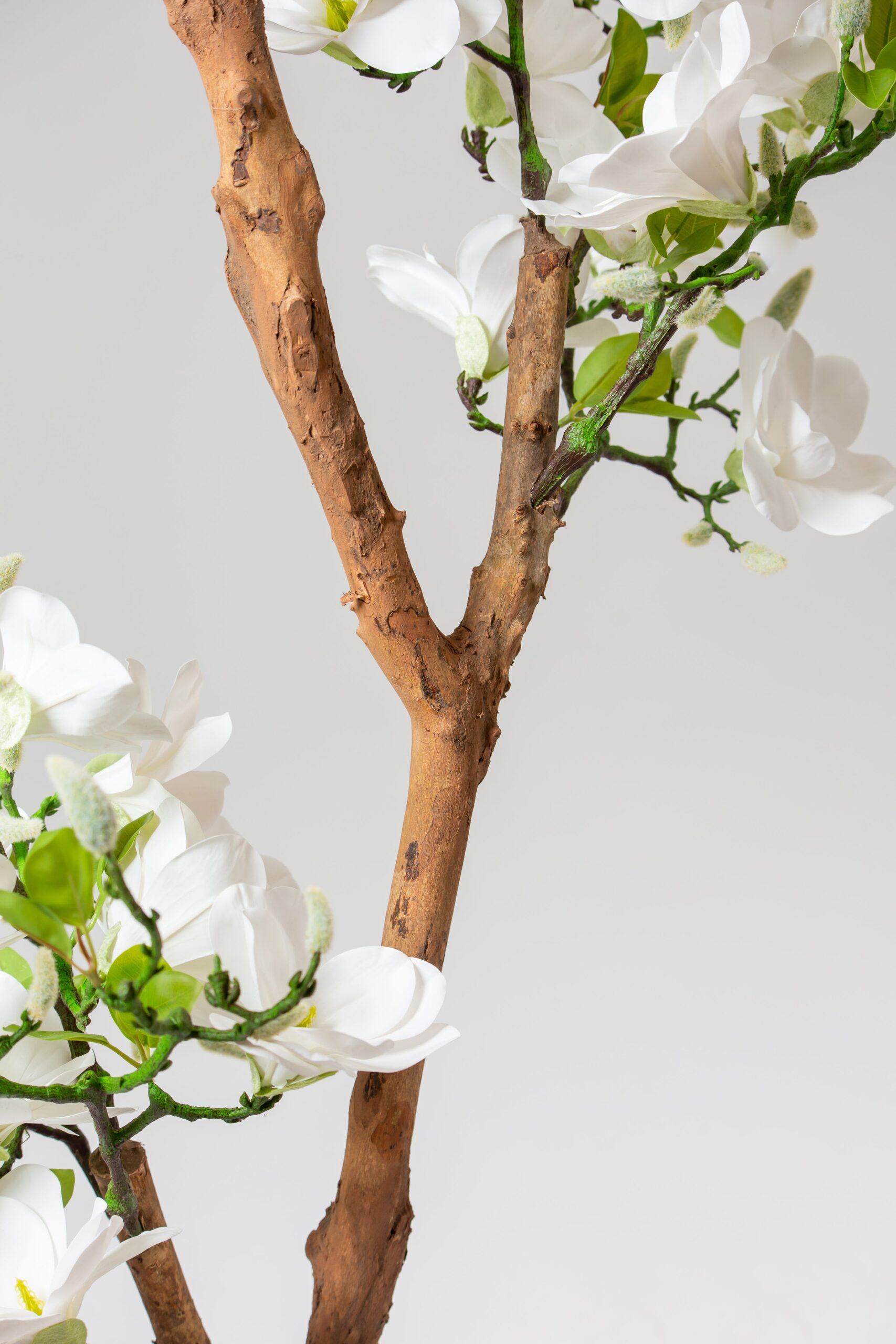 White Artificial Magnolia Plant With Natural Wooden Trunk (180CM) - Image 4