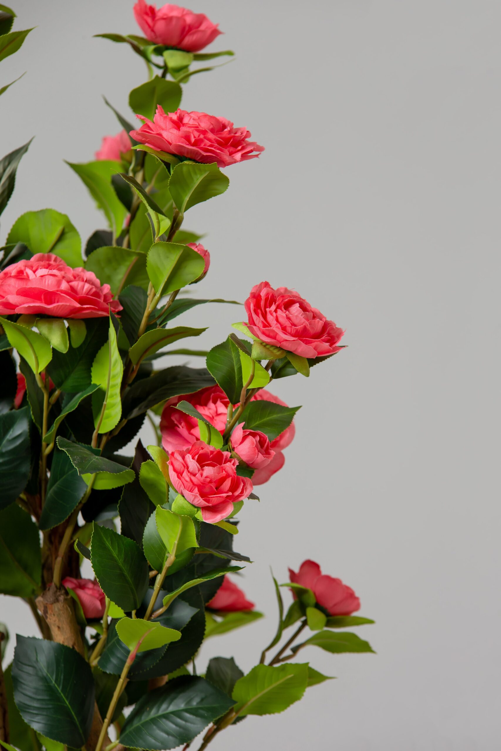 Pink Artificial Camellia Plant With Natural Wooden Trunk - Image 8