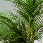 Areca Palm Artificial Plant