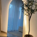 XL Sylvia Backlit Frameless Arch Mirror