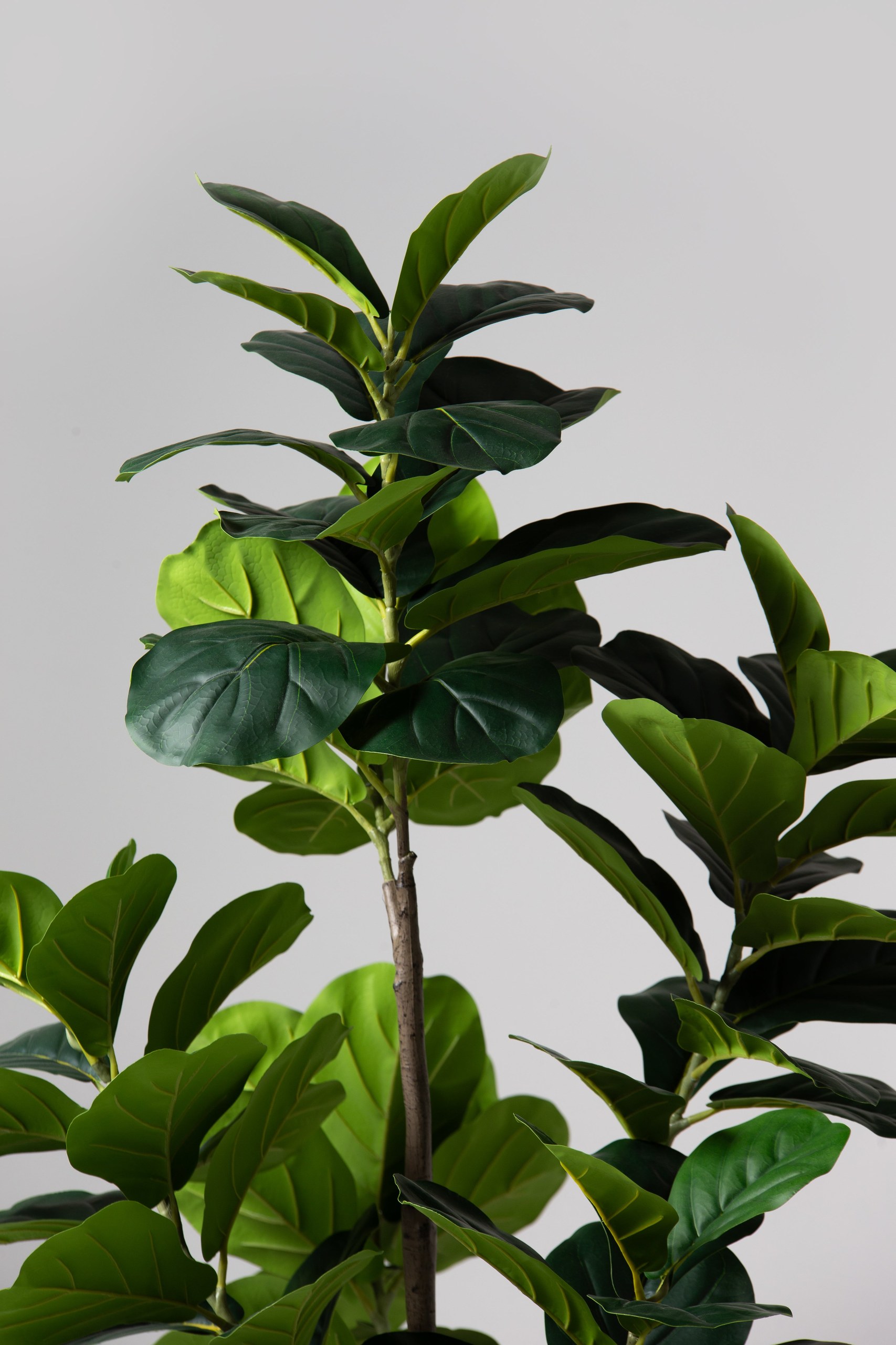 Fiddle leaf Artificial Tree (183CM) - Image 2