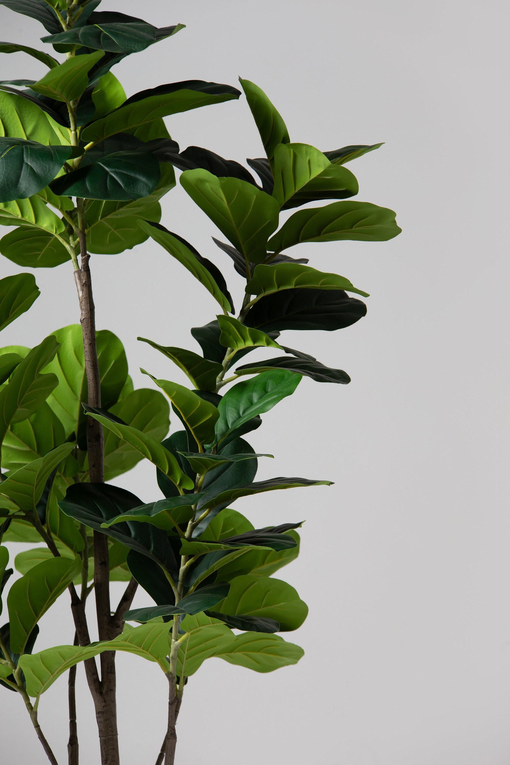 Fiddle leaf Artificial Tree (183CM) - Image 3