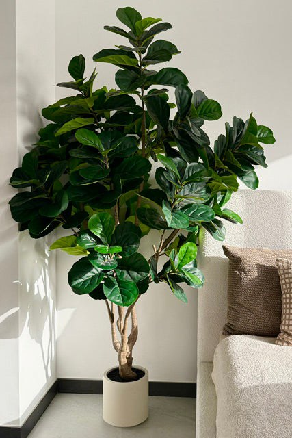 Fiddle Leaf Fig Artificial Tree (240CM) - Image 7