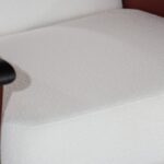 Mireen Lounge Chair
