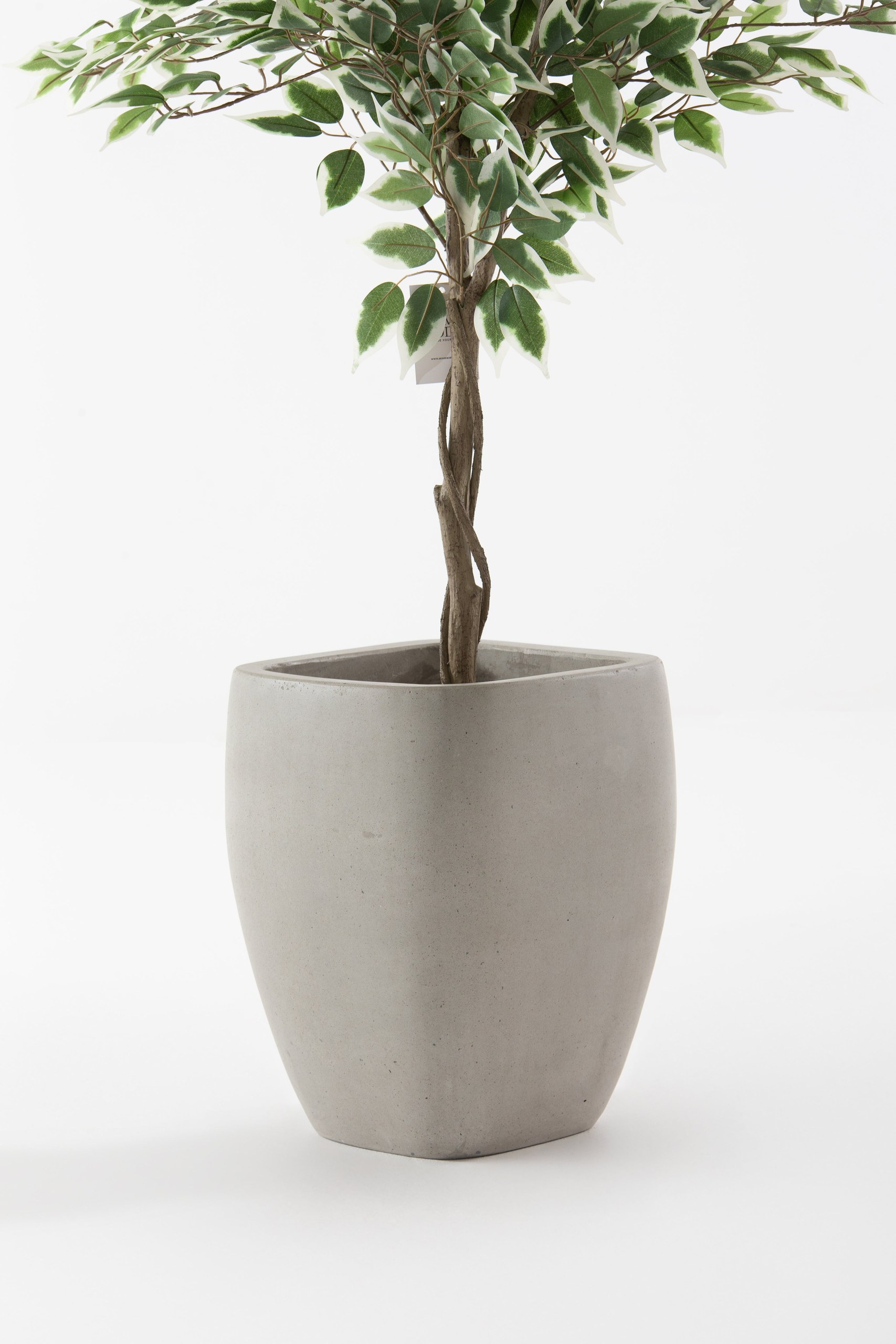 Ando Concrete Pot