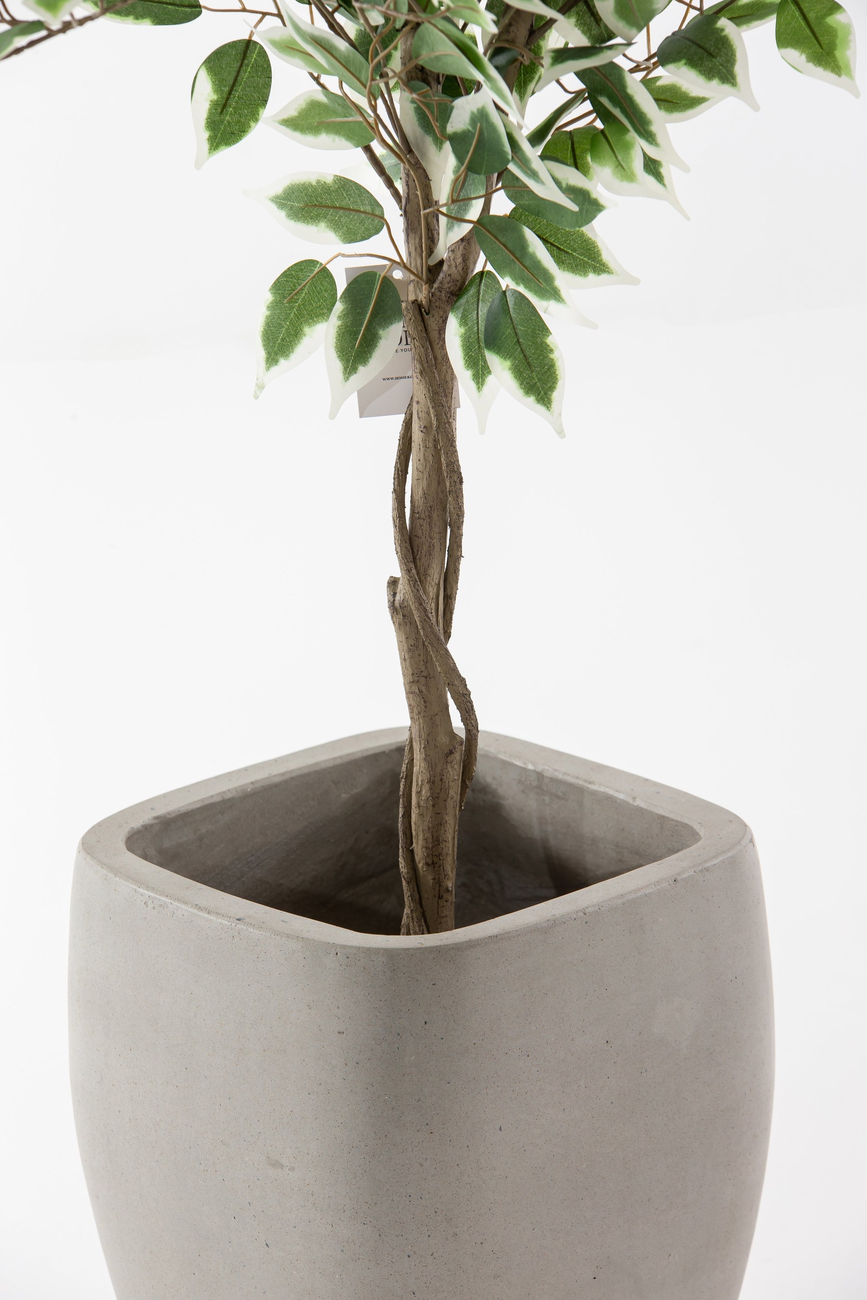 Ando Concrete Pot - Image 3