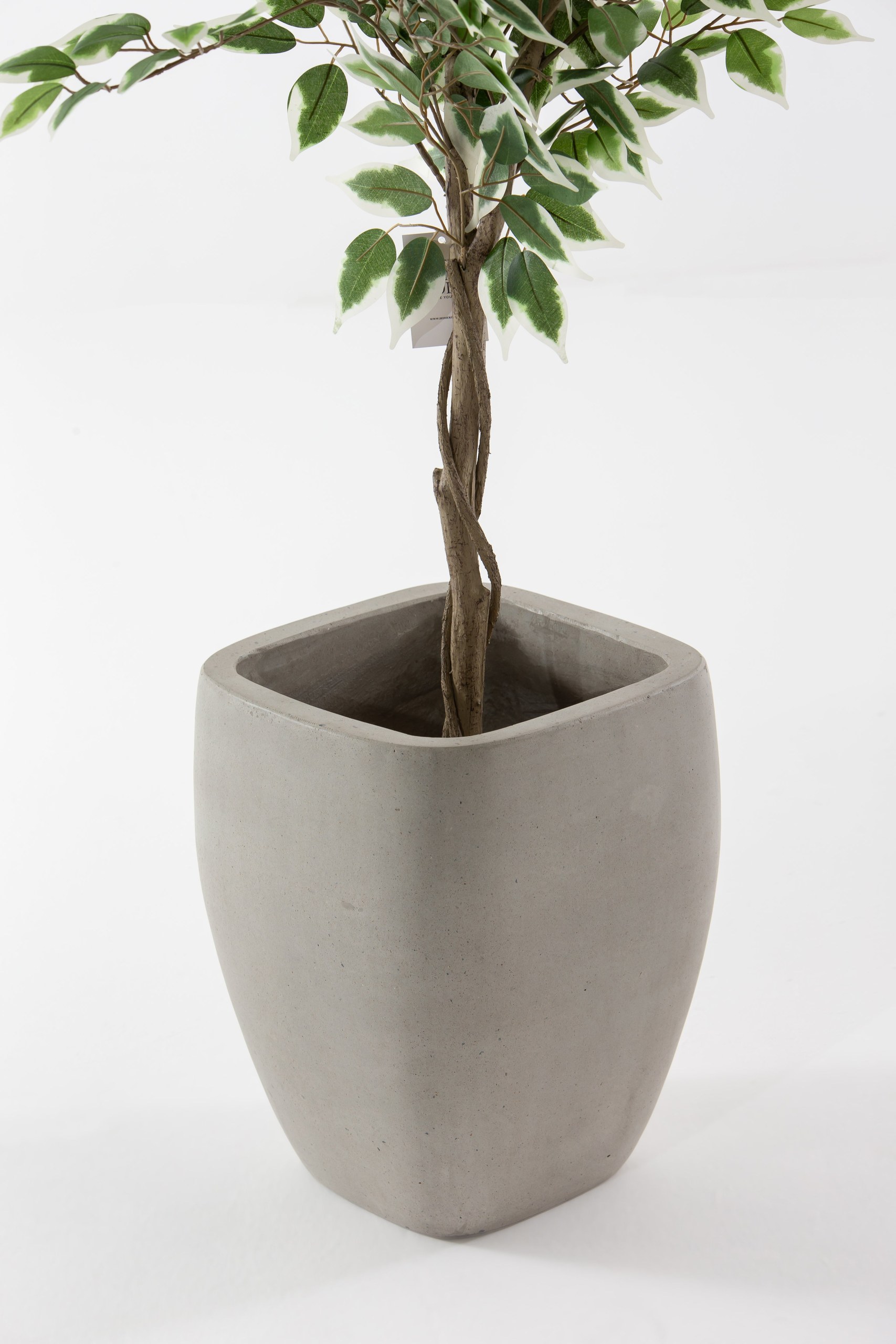 Ando Concrete Pot - Image 4