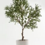 Artificial Olive Tree (220CM)