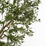 Artificial Olive Tree (220CM)