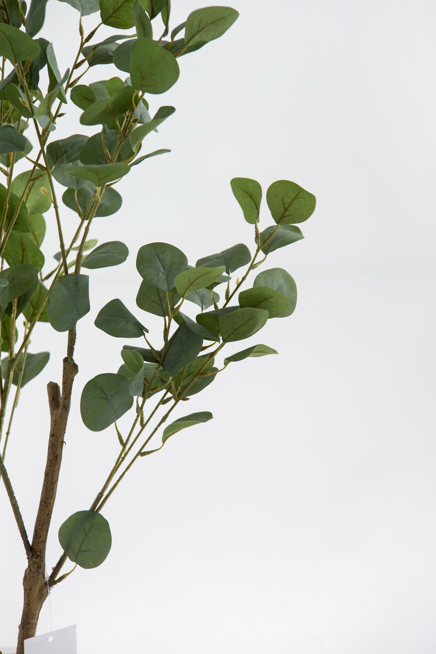 Artificial Eucalyptus Plant (100CM) - Image 3
