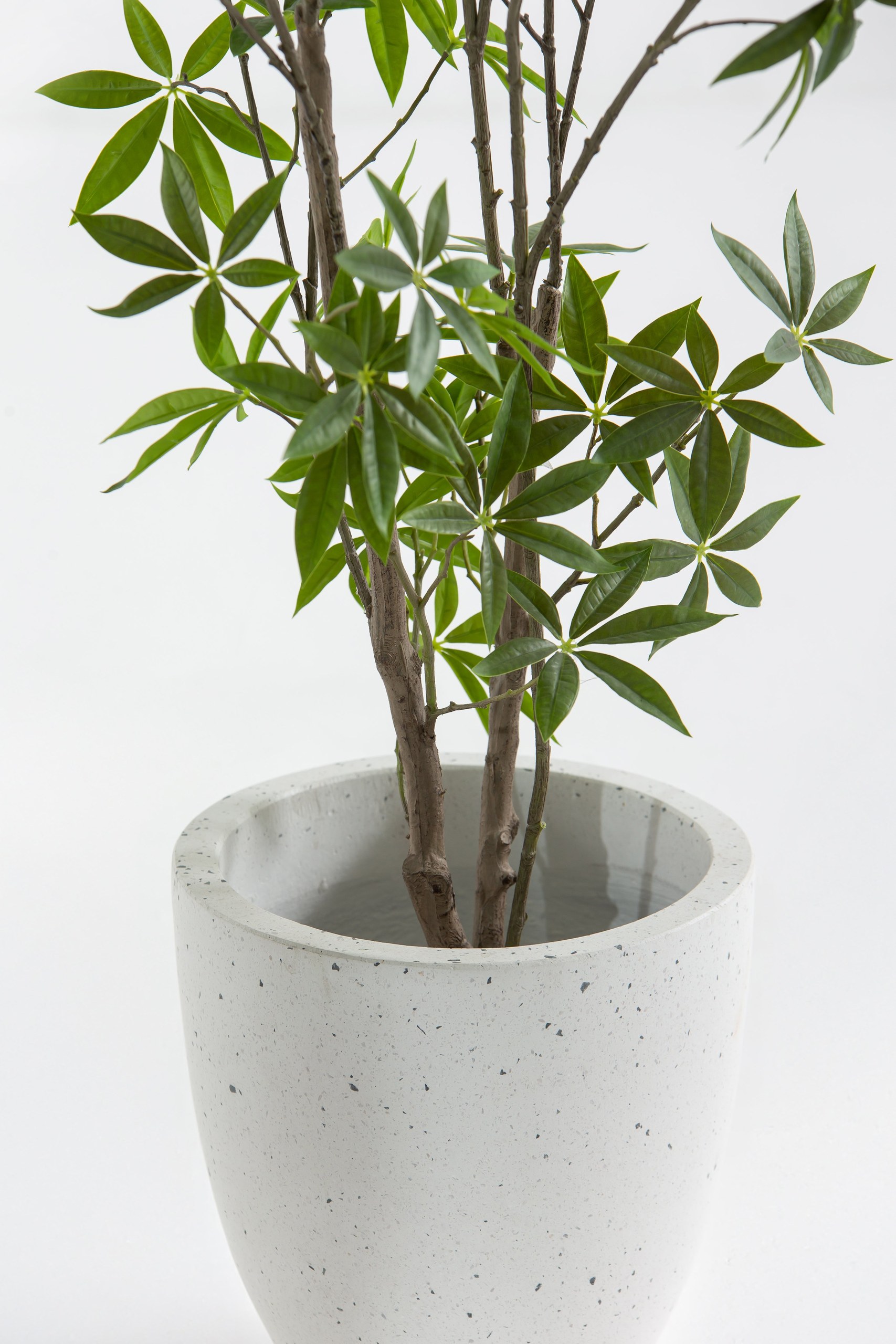 Artificial Aquatica Plant (70CM) - Image 2