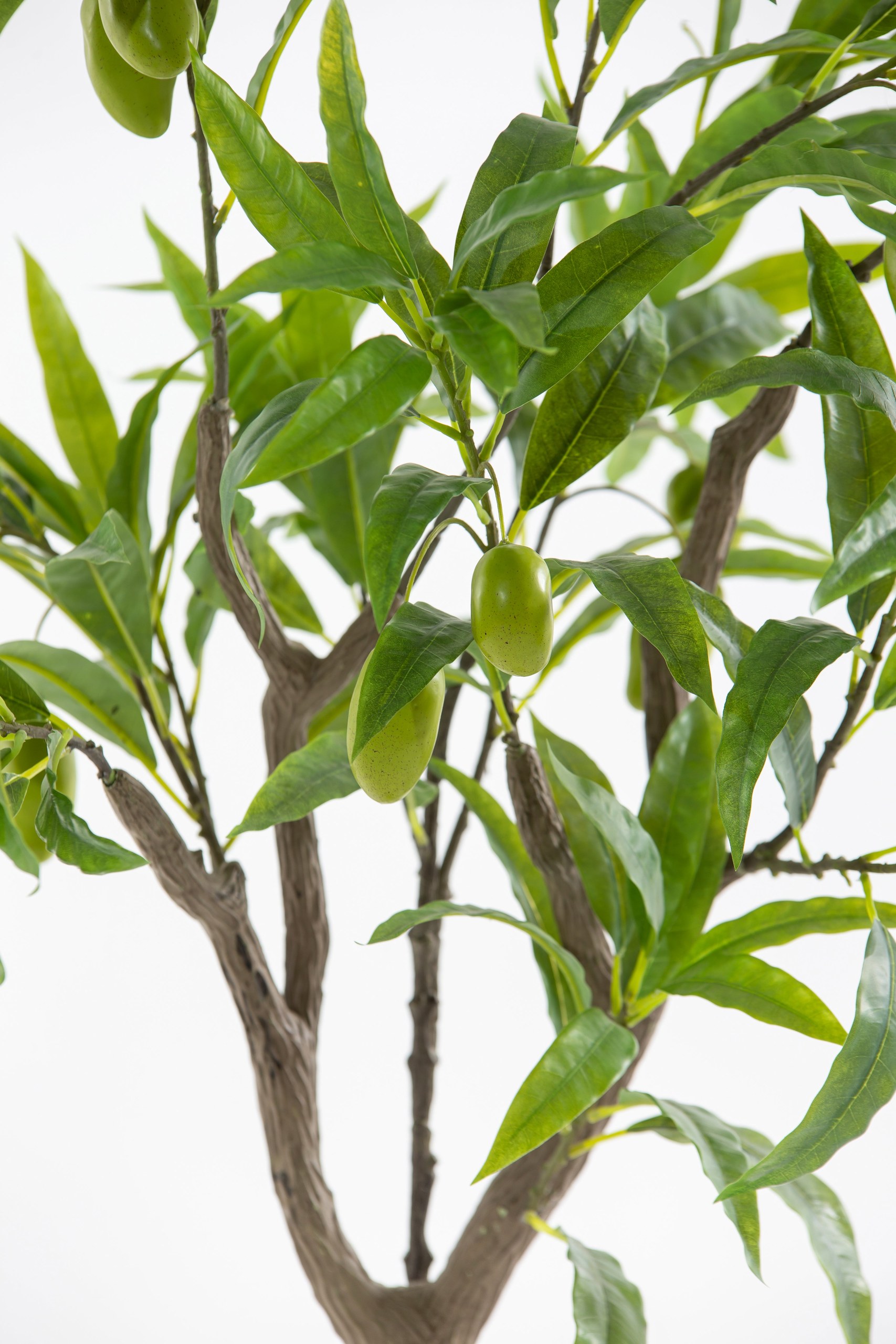 Artificial Mango Plant - Image 2