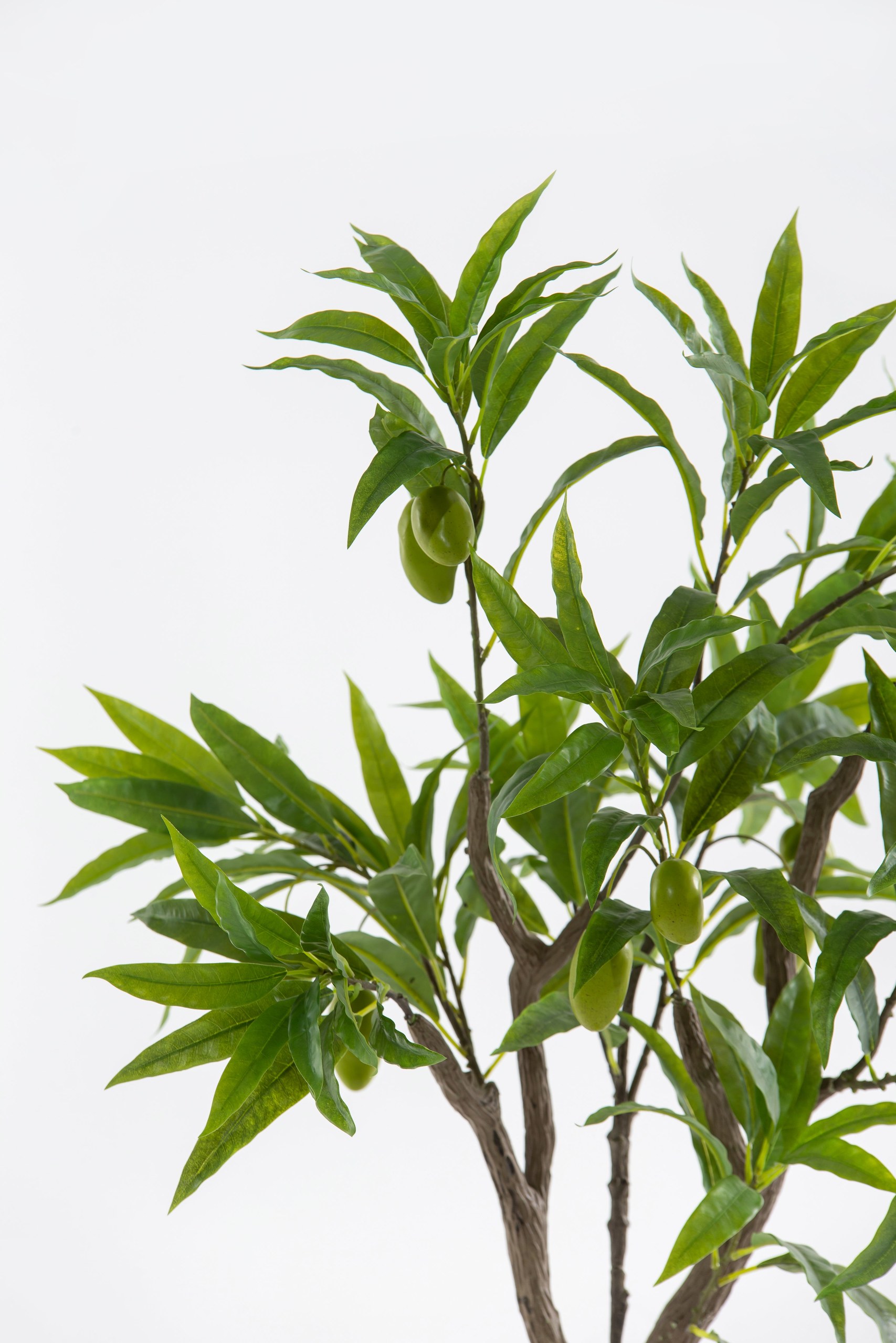 Artificial Mango Plant - Image 4