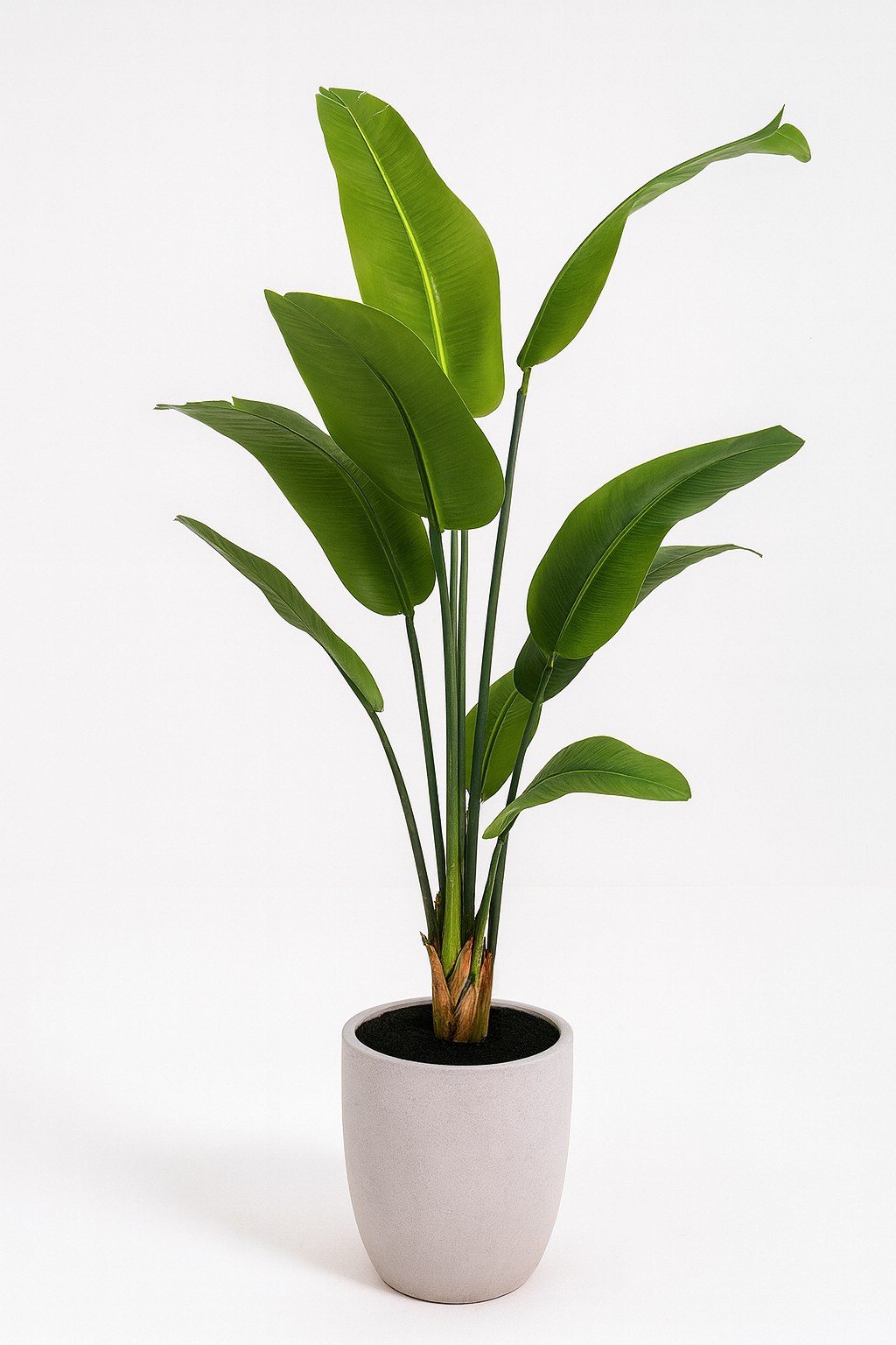 Strelitzia Reginae Artificial Plant (160CM)
