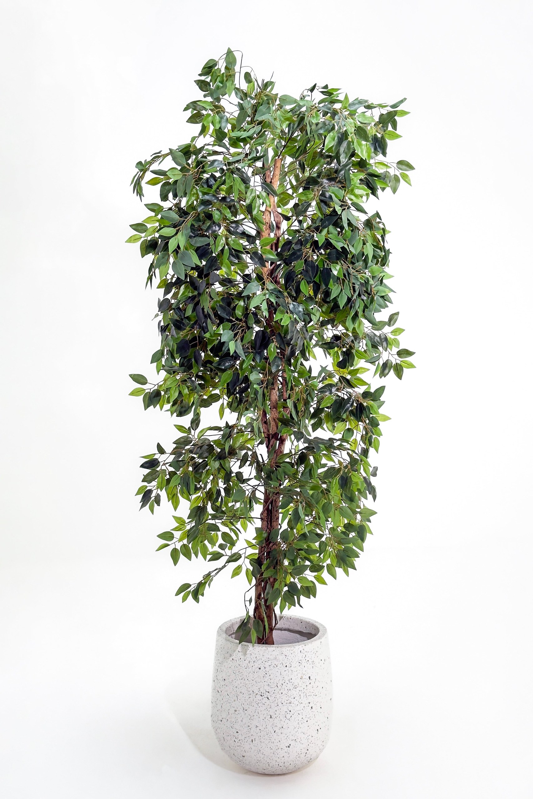 Artificial Ficus Tree (210CM)