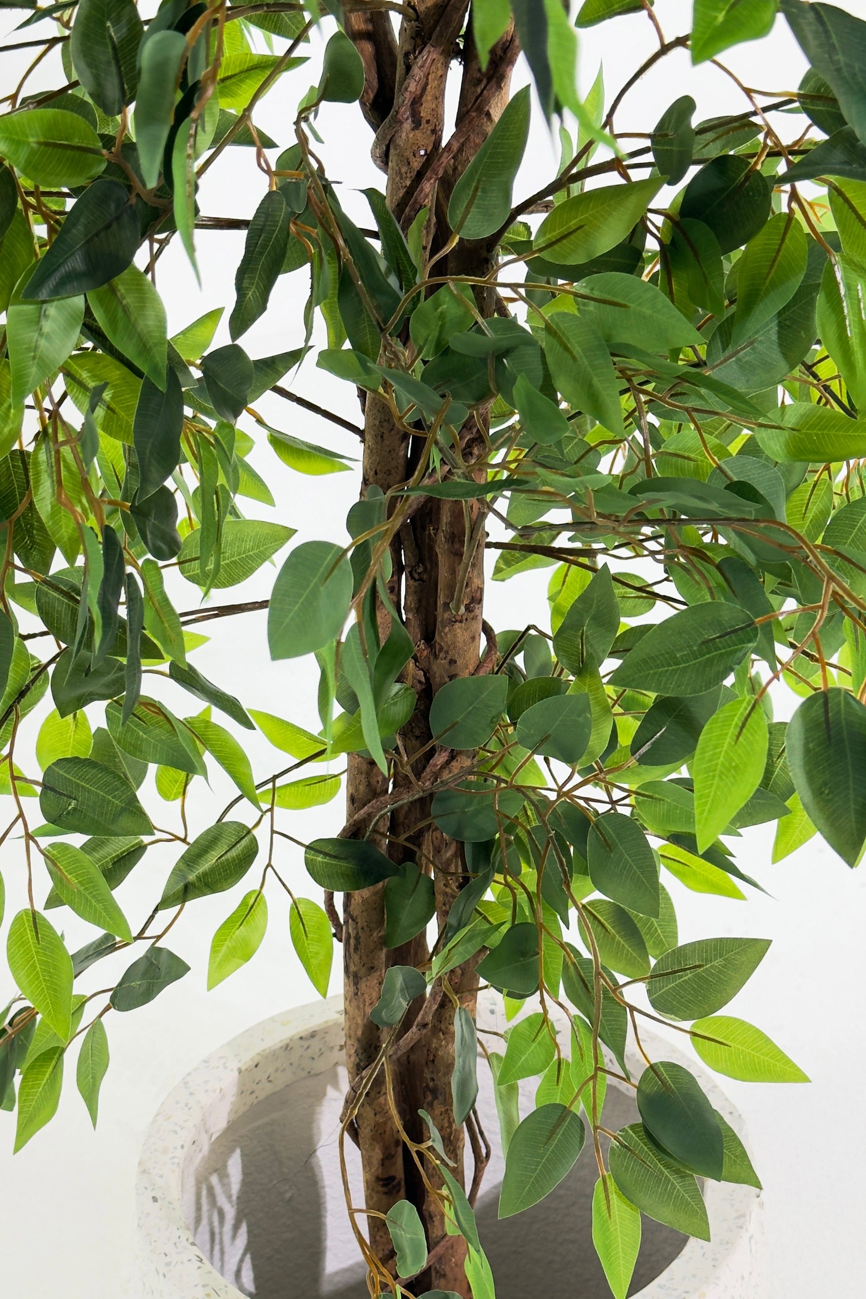 Artificial Ficus Tree (210CM) - Image 3