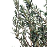 Olive Artificial Tree (180CM)