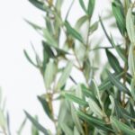 Olive Artificial Tree (180CM)