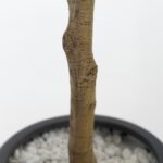 Olive Artificial Tree (180CM)
