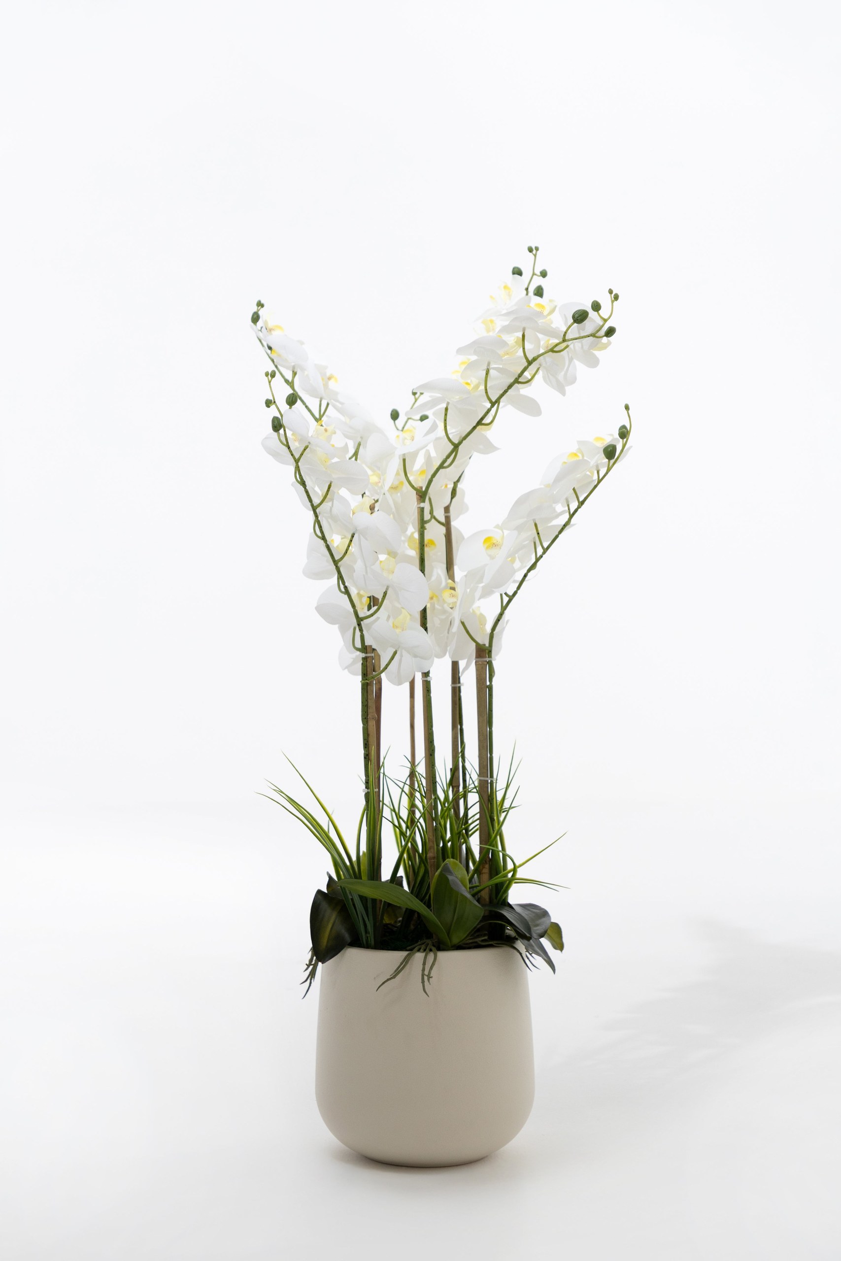 Artificial White Orchids (100CM)