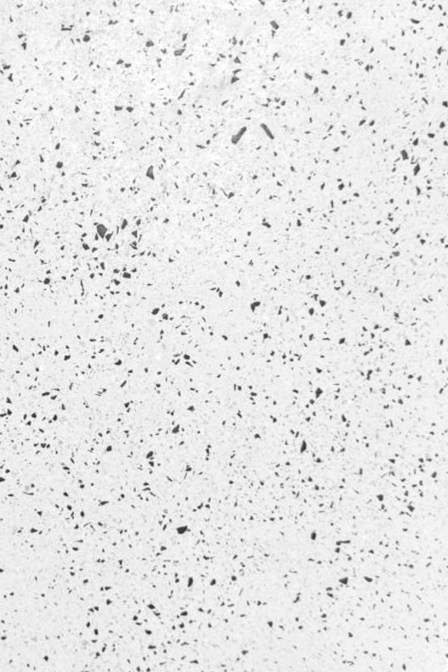 Alara Rialto Microterrazzo Microconcrete Desk - Image 2