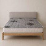 Spinekare Mattress