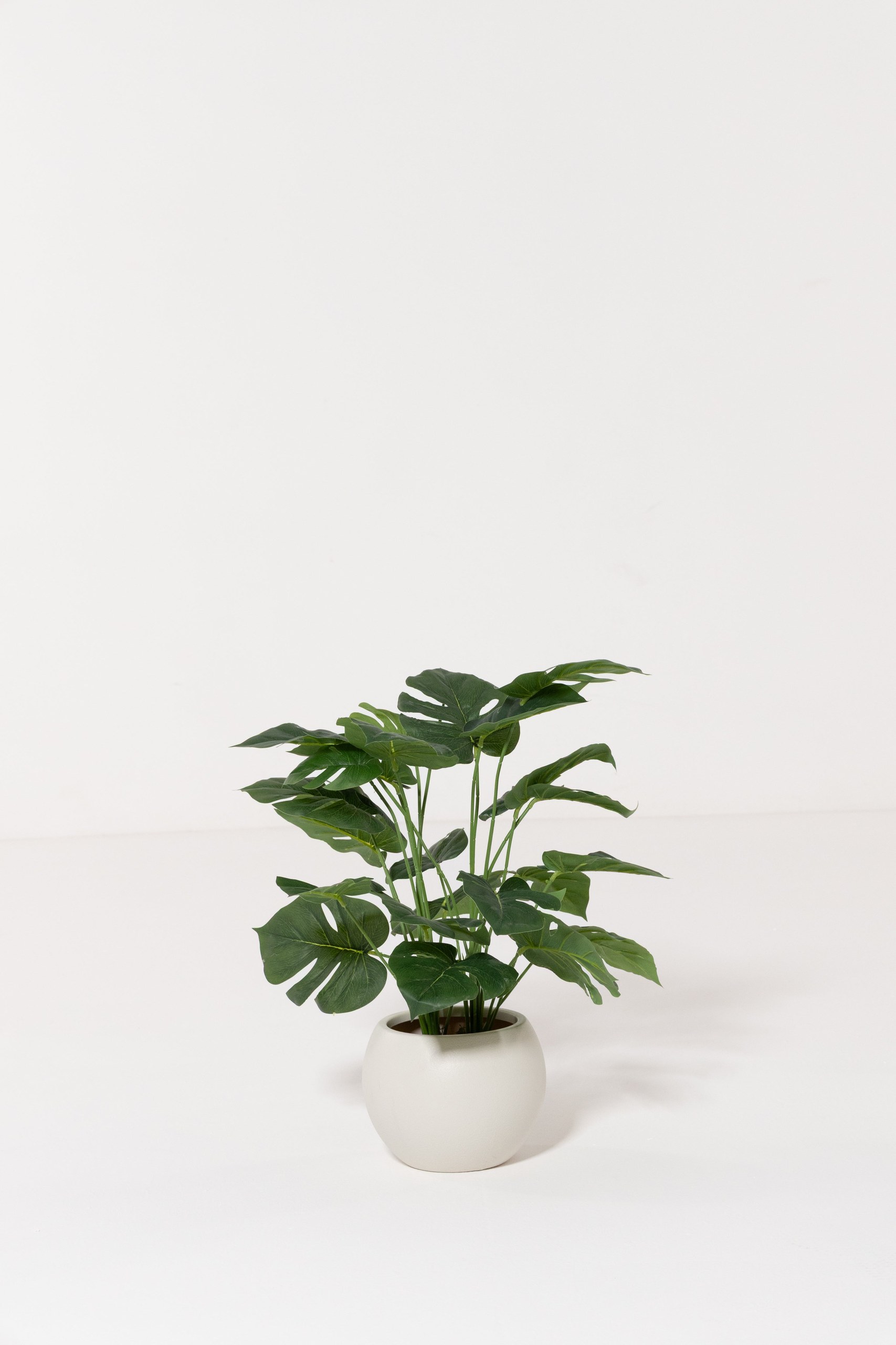 Monstera Artificial Plant (50CM)